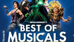Best of Musicals - Highlights aus über 20 Musicals